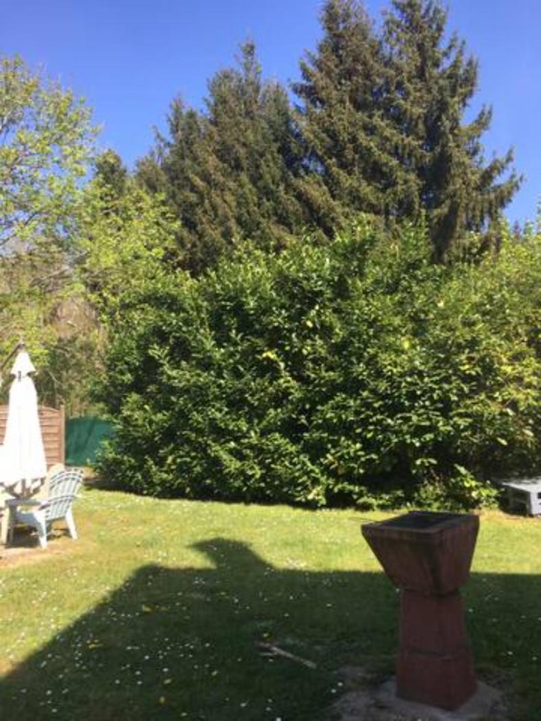 Gite Cosy Proche Fontainebleau Et Foret Noisy-sur-Ecole Kültér fotó