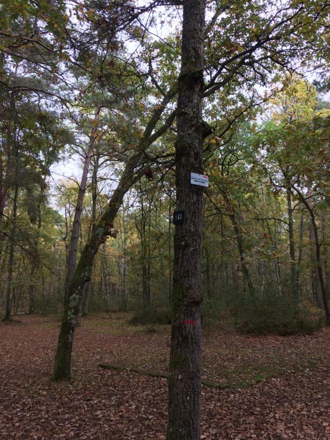 Gite Cosy Proche Fontainebleau Et Foret Noisy-sur-Ecole Kültér fotó